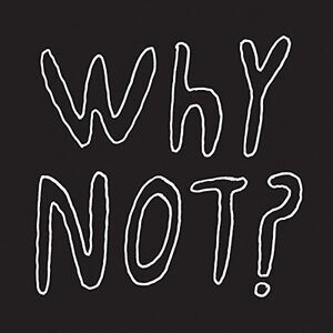 Half Japanese - Why Not  CD